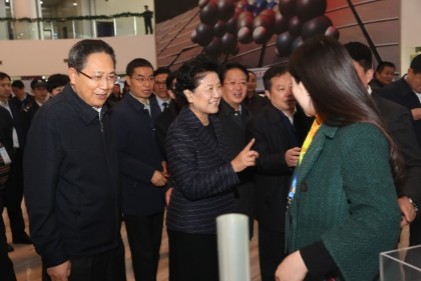 劉延東副總理對公司發(fā)展表示了祝賀與期望